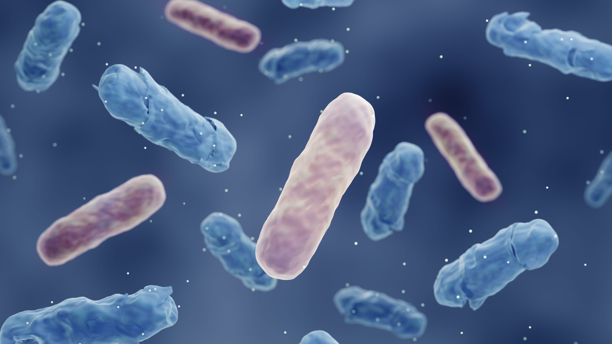 Close up of Microbes.